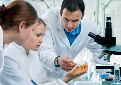 HƯỚNG DẪN MUA HÀNG